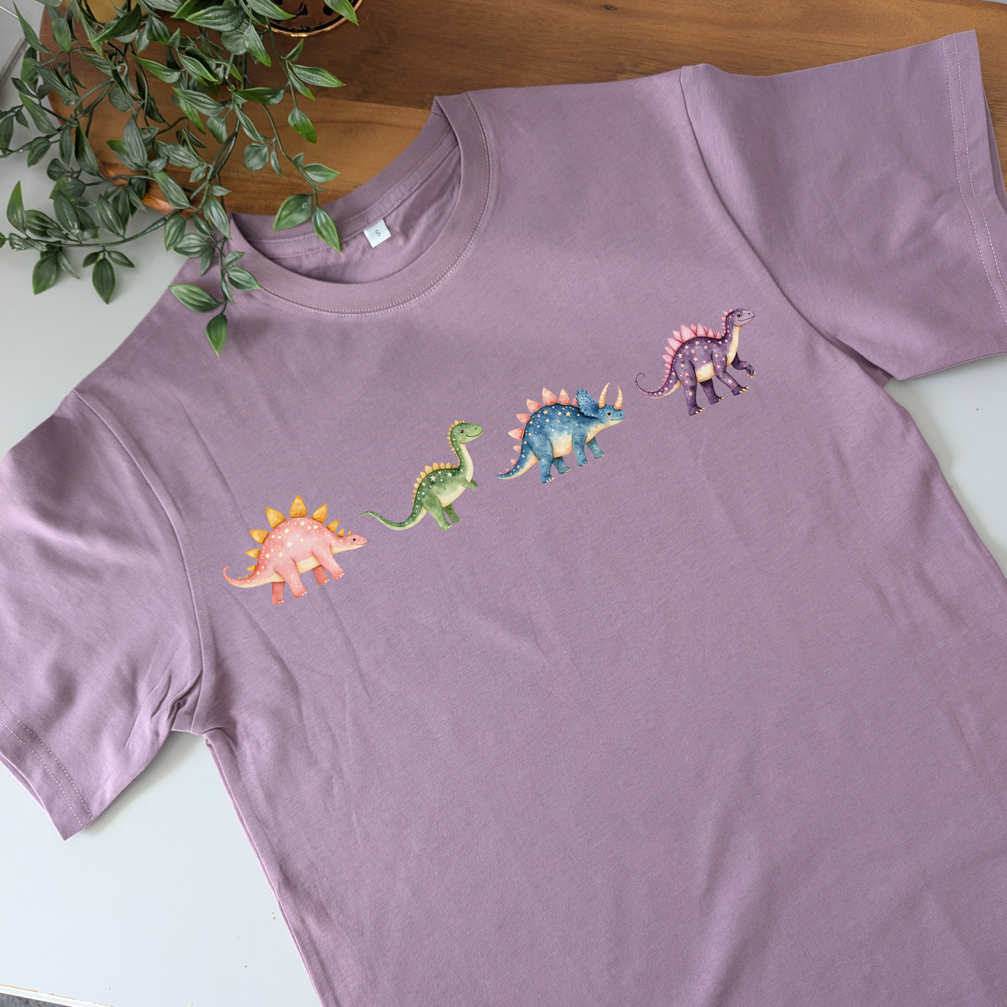 Dinosaur Friends Tshirt