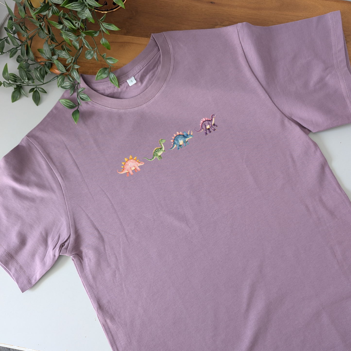 Dinosaur Friends Tshirt