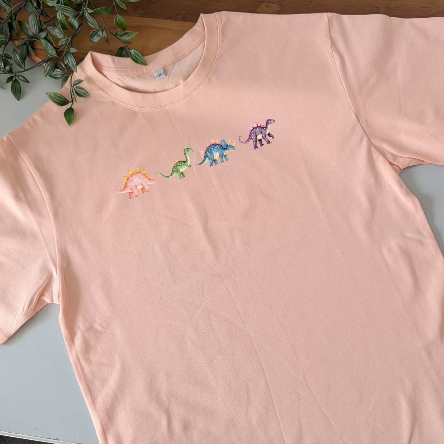 Dinosaur Friends Tshirt