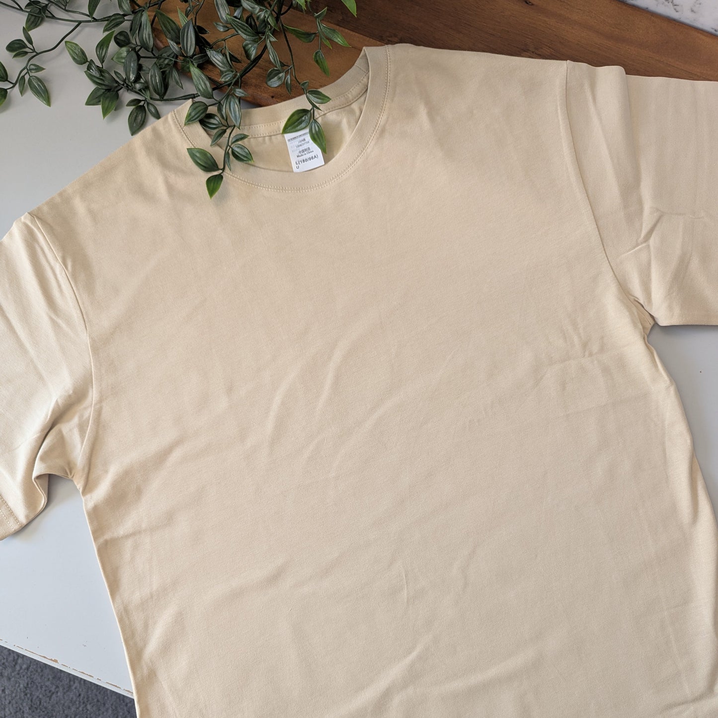 The Blank Tshirt