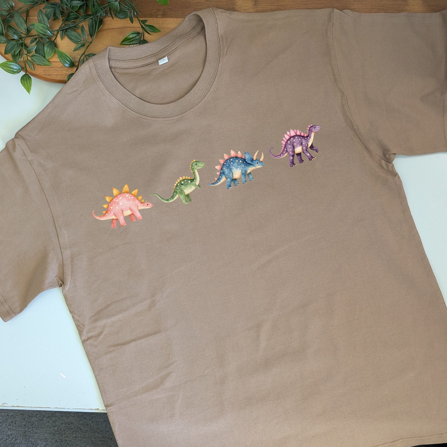 Dinosaur Friends Tshirt