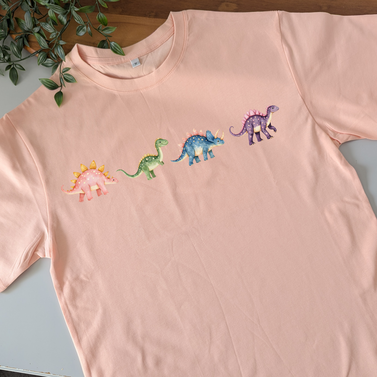 Dinosaur Friends Tshirt